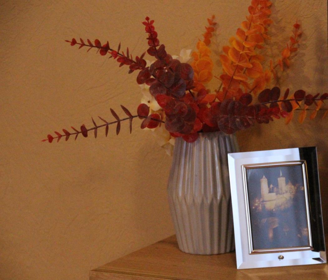 Ferienwohnung Felicitas ヴィルテン エクステリア 写真
